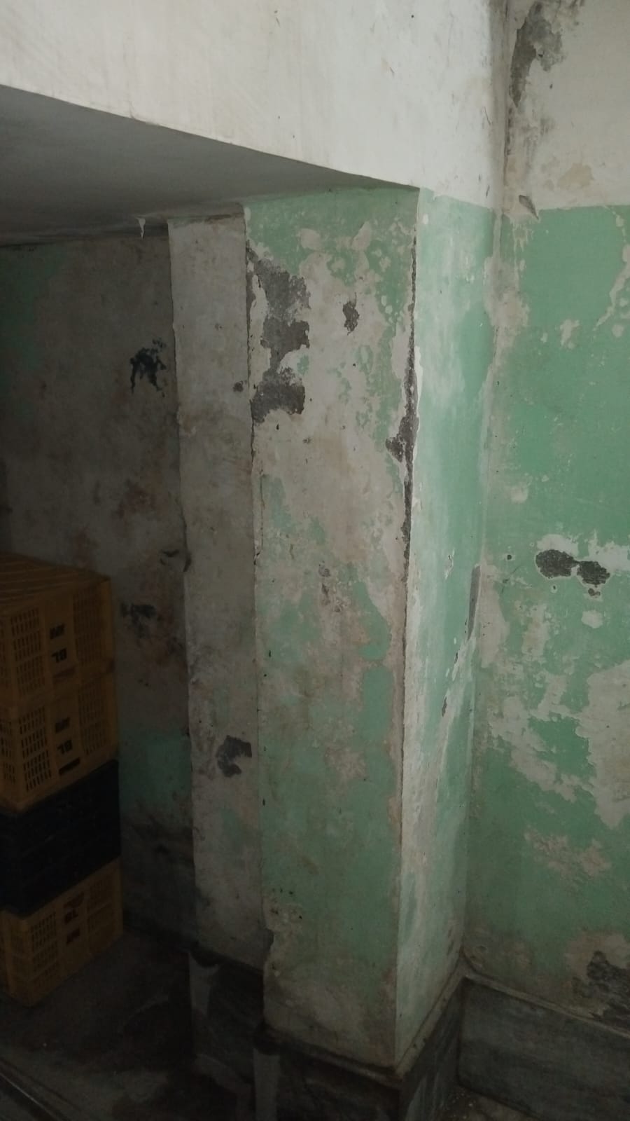 Before Condition Image